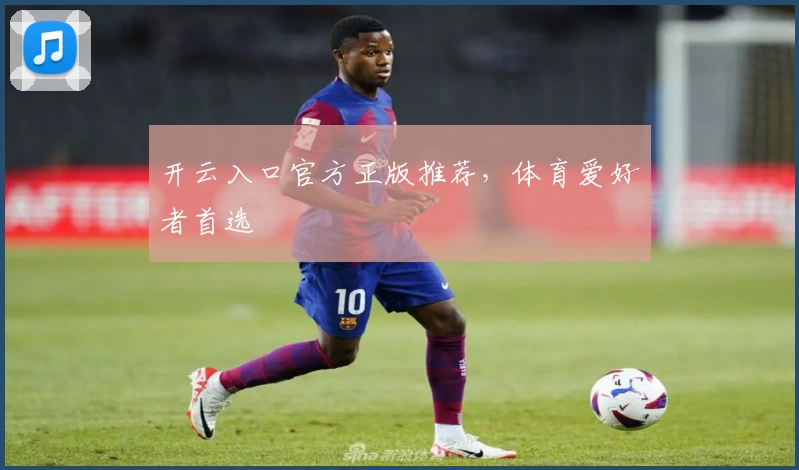 开云入口官方正版推荐，体育爱好者首选