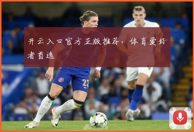 开云入口官方正版推荐，体育爱好者首选